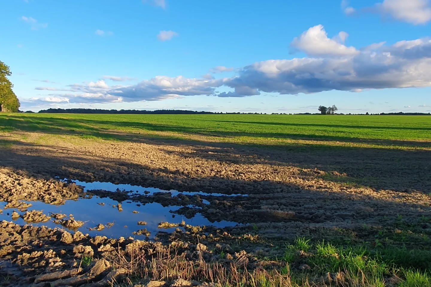 rzucewo pole wrzesień